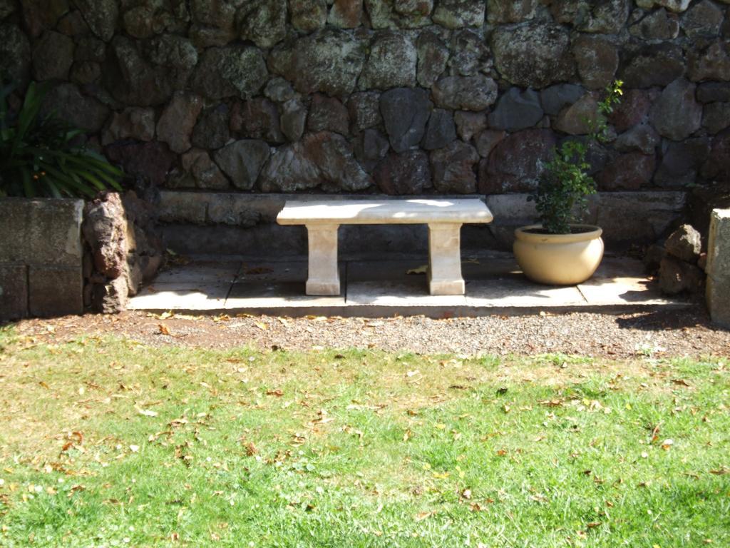 The Quiet Quarter Bed and Breakfast Auckland Eksteriør billede